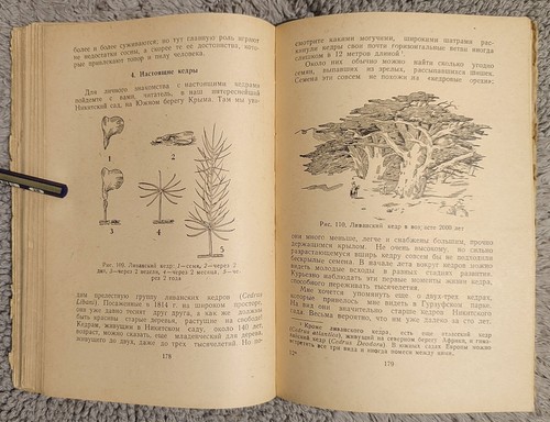 Занимательная ботаника 1951 А. Цингер Entertaining Botany A Zinger RARE - Imagen 15 de 16