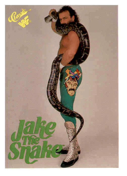 1989 Classic WWF - Jake 