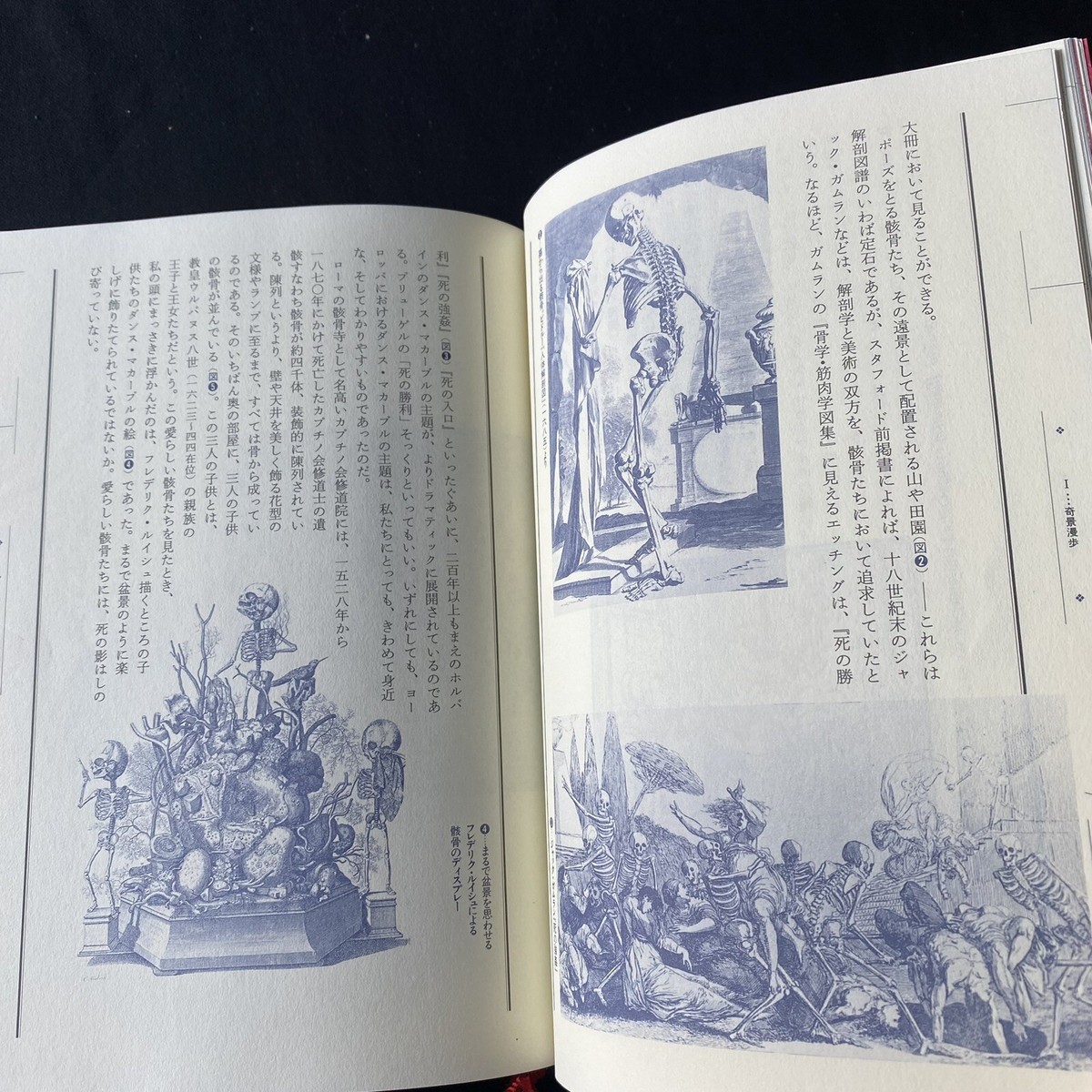 奇景の図像学　綺想迷画大全　中野美代子　人間の想像力　視る快楽　面白ヴィジュアル 奇景の図像学 綺想迷画大全 中野美代子 人間の想像力 視る快楽