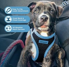 Voyager Step-In Air Dog Harness - All Weather Mesh  Blue XS Size For Small Dogs