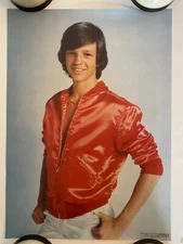 Mr. James Vintage Poster  TV Memorabilia Television Pro arts Pinup