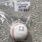 Andruw Jones Rawlings Hall of Fame MLB Autographed Baseball