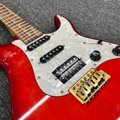 Chatting Bird Stratocaster Type Red Electric Guitar | eBay
