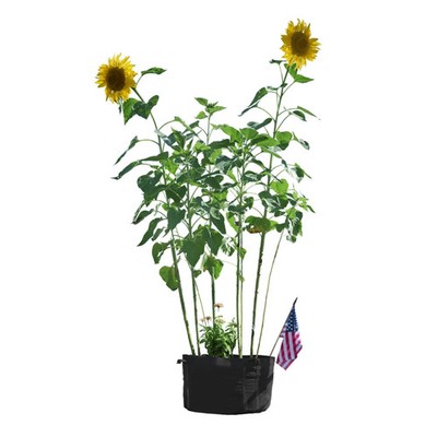 PHAT SACKS FABRIC GROW POTS With Handles - THE ORIGINAL PHAT SACKS!