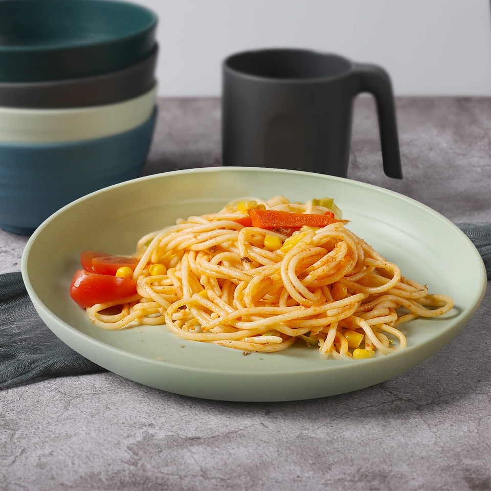 Lightweight Plastic Plates 4 Pack 10'' Unbreakable Dinner Plates