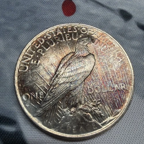 1922 P PEACE SILVER DOLLAR UNGRADED! BEAUTIFUL COIN! Awesome Toned Reverse! UNC!