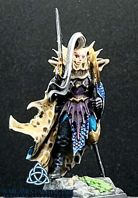 Painted Black Ark Fleetmaster Dark Elves WFB AOS Mordheim Idoneth