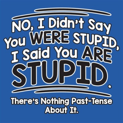 I Didn't Say You Were Stupid, I Said You Are Stupid. There's Nothing Past-Ten...