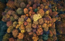 Landscape aerial view fall nature trees colorful plants Custom Gaming Mat Desk