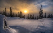 Landscape nature winter snow forest frost sun mist pine Custom Gaming Mat Desk