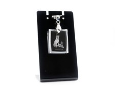 Laekenois Belgian Shepherd Dog - Crystal dog pendant, photo necklace, unique jew