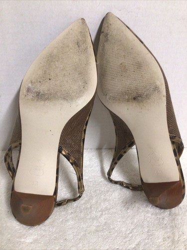 Talbots Guépard Imprimé Bout Pointu Chaton Talons Femme Taille 6 Avec Boîte - Photo 5/9