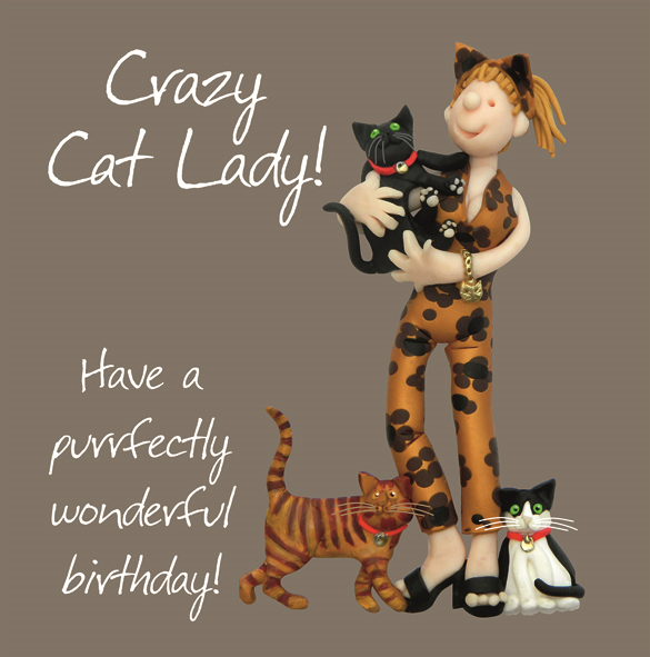 Crazy Cat Lady Birthday Greetings Card by Holy Mackerel 15 X 15cm. for