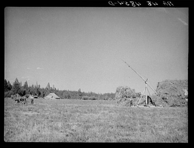 #ad #ad Photo:Using of a hay derrick on farm near Walla Walla Washington $12.99