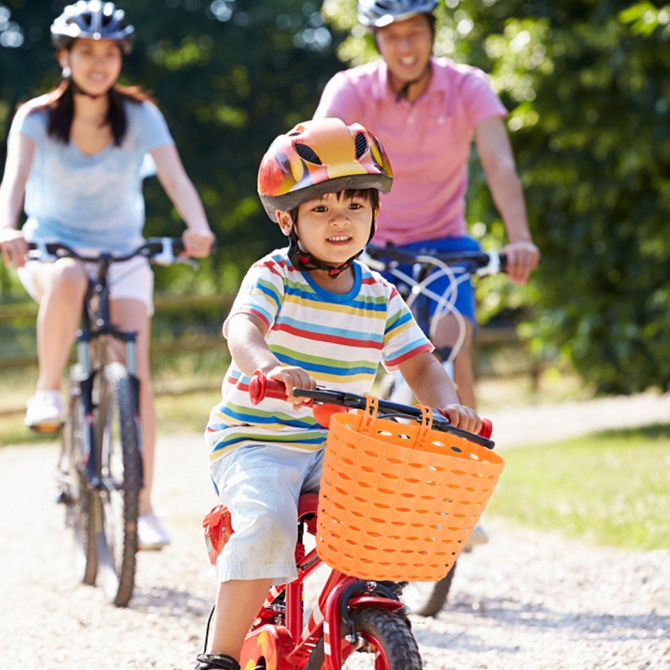 Fahrradkorb Hinten Klappbar | 37x27x20cm Stahlkorb | 50kg Traglast | Mit Reflektor Für E-Bike & Scooter