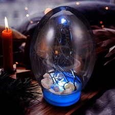 Mini Fish Ecosystem Aquarium Self Sustaining Desktop