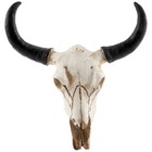 Resin Cow Skull Head Wall Hanging Decor 3D Animal Wildlife Sculpture7715