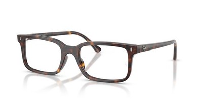 Brillengestell RAYBAN Rx 5445 2012 54 Neu E Original