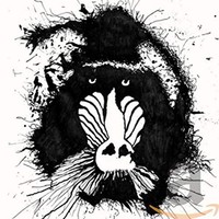 Feral Ohms - Feral Hms - Cd - G3Z