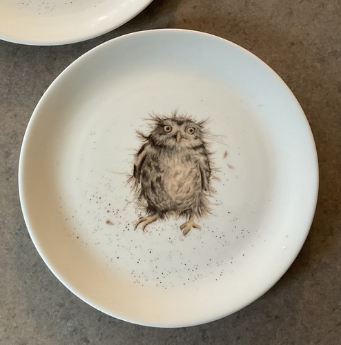ROYAL WORCESTER :: Set/2 OWL & DUCK 8 1/4” PLATES Wrendale Designs DALE ENGLAND - Picture 5 of 15