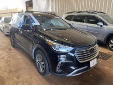 (LOCAL PICKUP ONLY) Passenger Right Front Door LWB Fits 15-19 SANTA FE 1582878