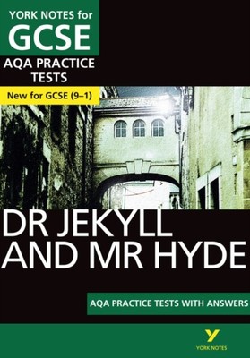 SELTSAME KISTE DR JEKYLL/HYDE TESTS/ANS von Anne Rooney (Taschenbuch/Softback)