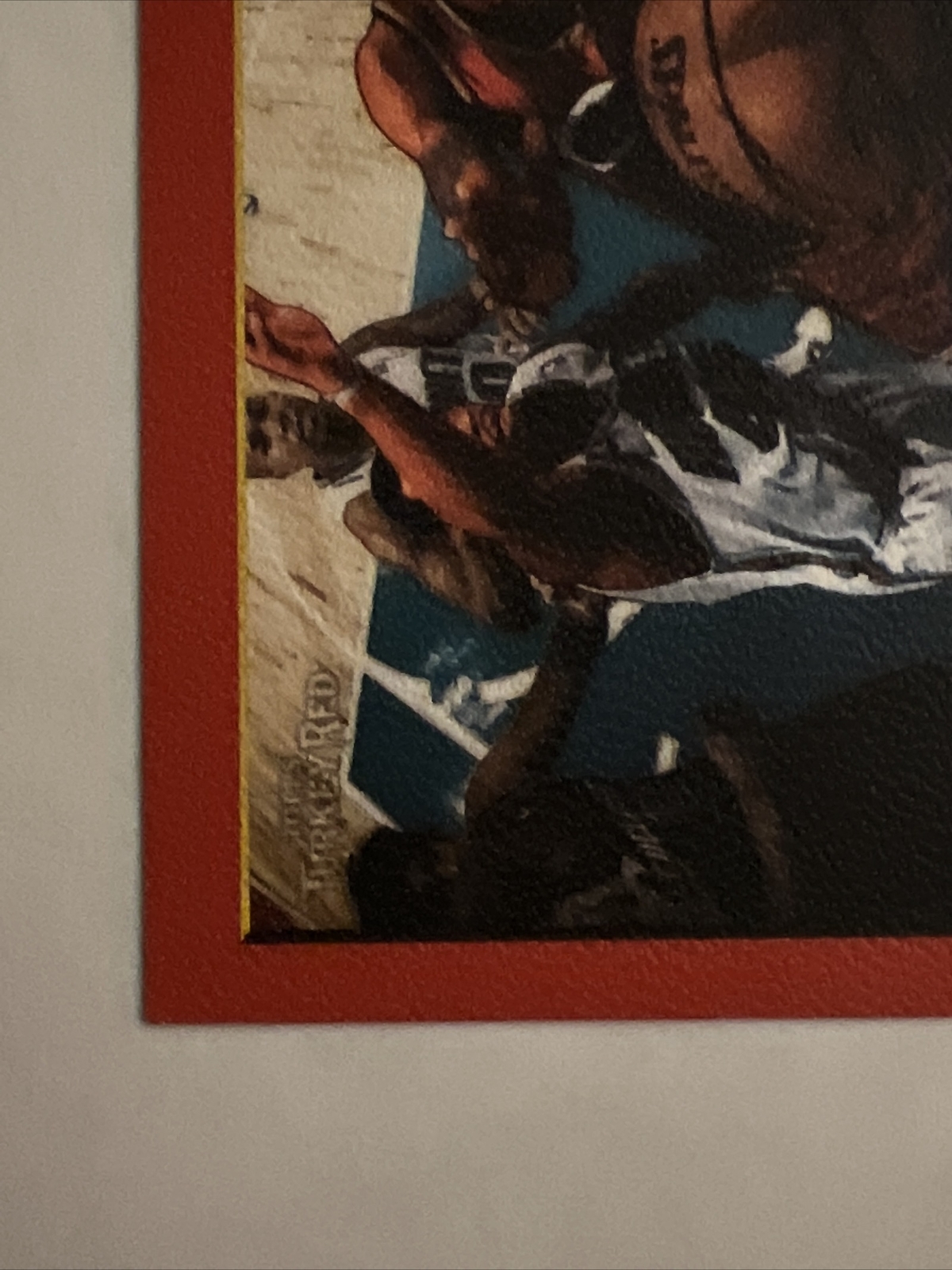 Picture 5 of 6