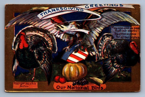 Postcard Vtg Holiday Thanksgiving Greetings Our National Birds 1908 - 第 1/2 張圖片