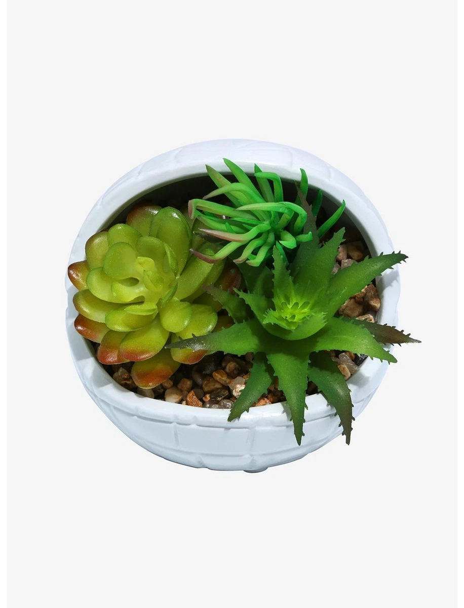 Star wars sale succulent planter