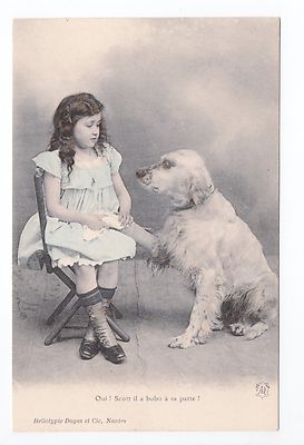 Animal DOG Dogs Dogs 35 Card Fancy Dog White Girl Blue Dress