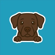 Chocolate Labrador Peeking Sticker