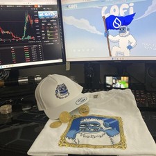 Sui Network LOFI Founder Memecoin Yeti Swag Hat Shirt L Bitcoin crypto RARE Meme