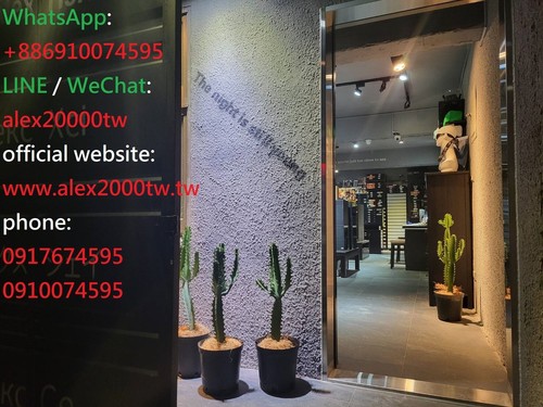 Jean Paul Gaultier JPG 57-0011 vintage half rim titanium frames eyeglasses 鈦金屬안경 - Picture 19 of 24