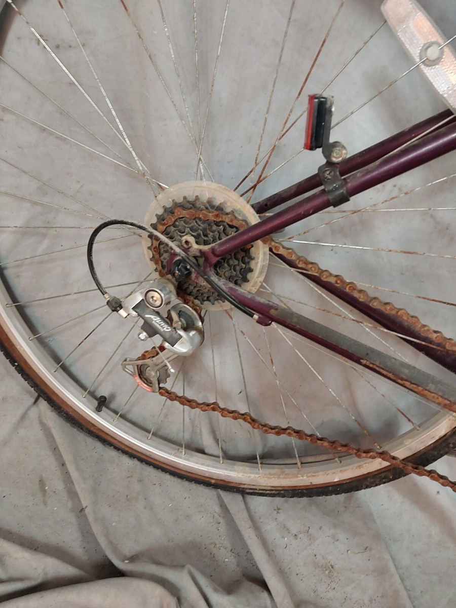 1995 Gary Fisher Zebrano Hybrid Bike Small 15.5