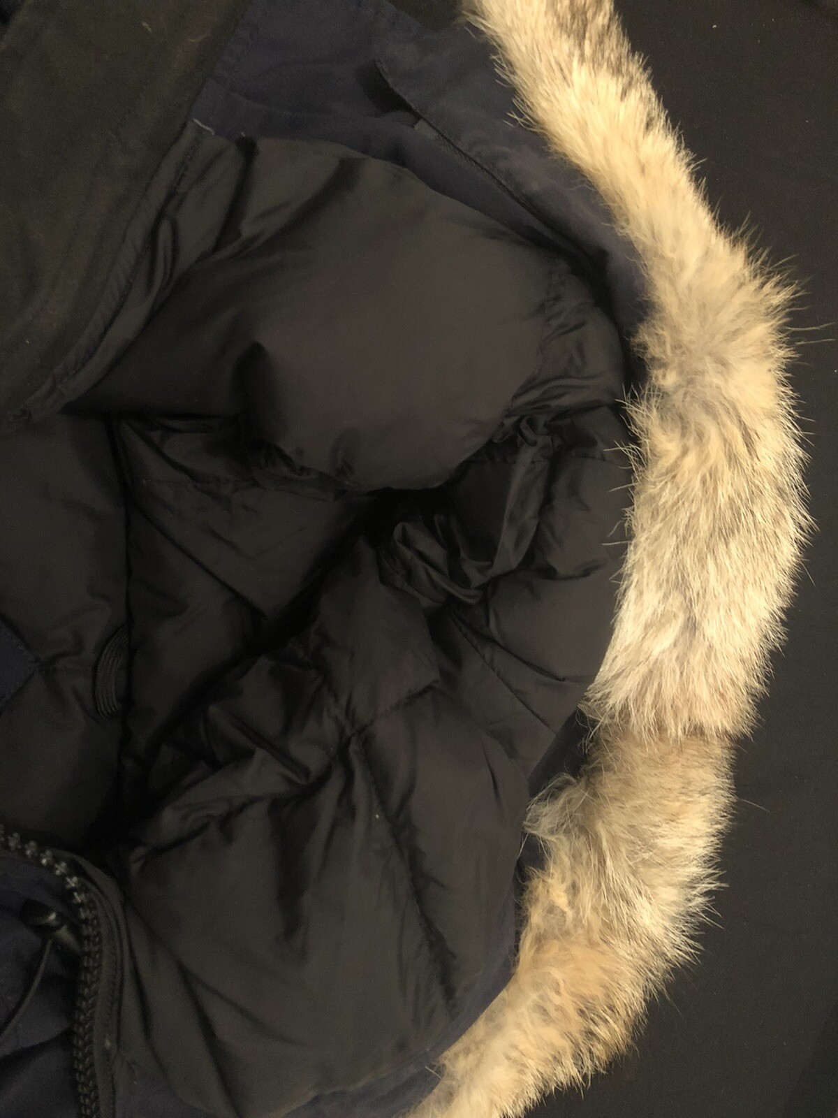 Canada Goose Emory Parka - Navy Blue - Large image 3
