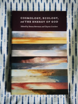 Cosmology, Ecology, and the Energy of God by Donna Bowman (Paperback) Like New
