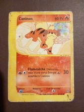 Carte Pokemon Caninos Aquapolis 51/147