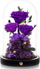 Birthday Gifts for Women Forever Preserved Flowers Roses in Glass Dome for Women