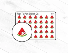 2427~~ Watermelon Date Covers Planner Stickers.