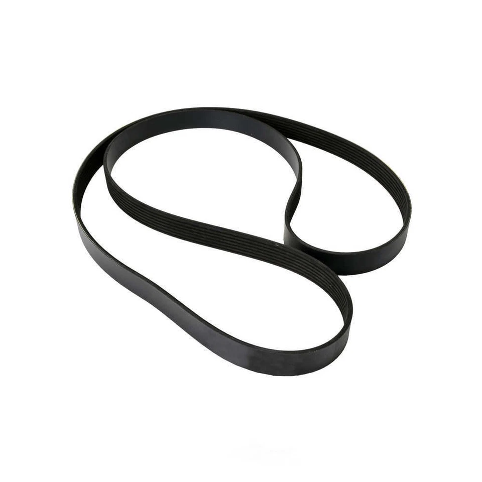 Cinturón Serpentine-Multi-V Continental Elite 4070682 Foto 3 de 3