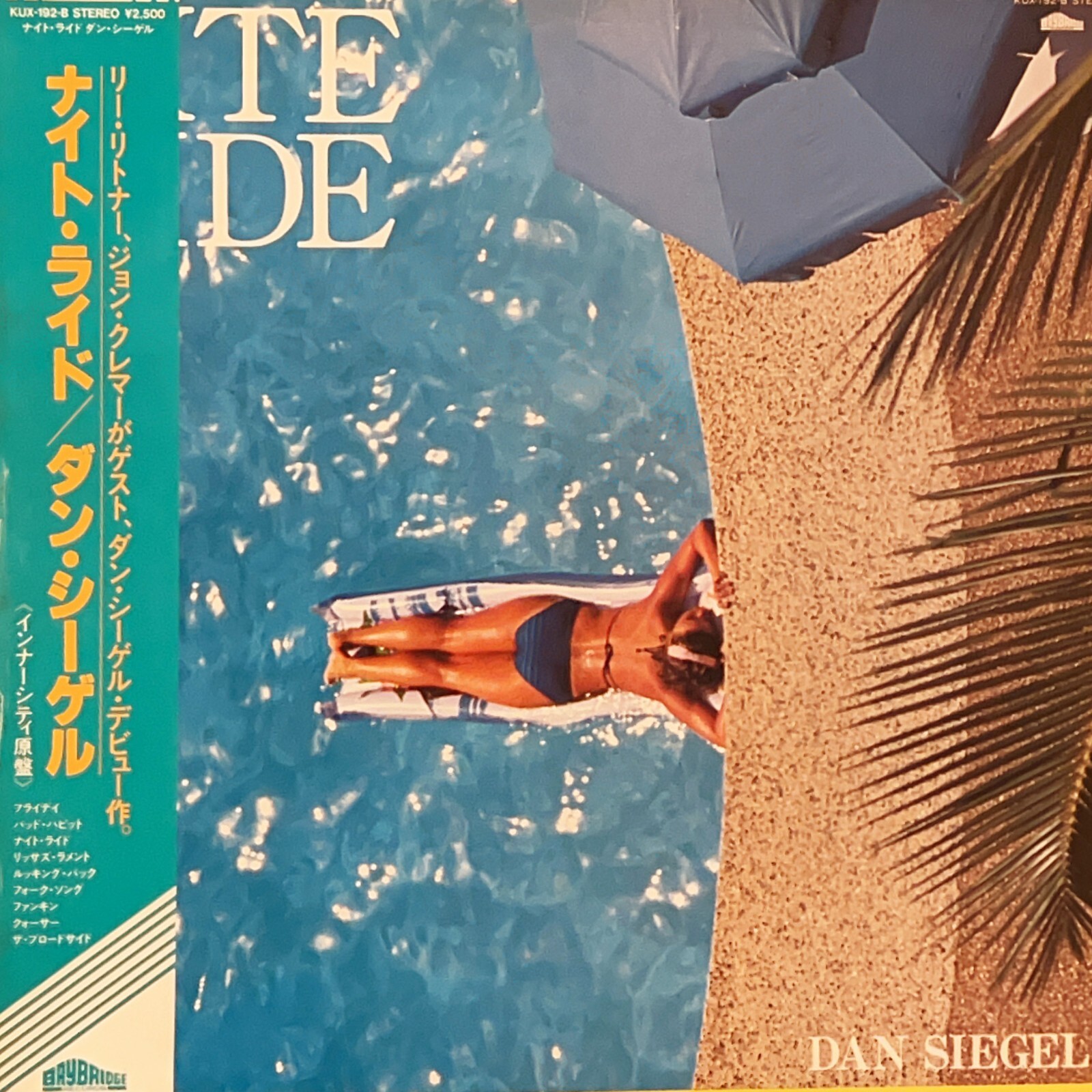Dan Siegel 