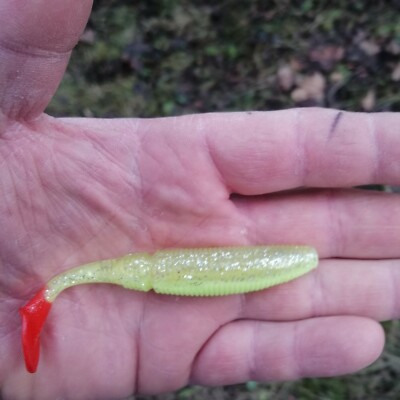 Kunstköder , Gummiköder /Fire Tail Shad 10cm Farbe C