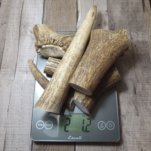 2 Pounds of LARGE Premium ELK Antler Dog Chews - **Pioneer Antler Company**