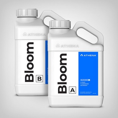 Athena Bloom A&B Blütedünger 3,78L   maximale Blüten, chelatiert, Hydroponik