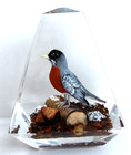 Vintage Hand Carved Painted Wood Robin Lucite/Acrylic Unique Canada Paperweight — photo 1