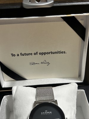 Skagen Watch CHEVRON Denmark CHEV39LSSB SLIM JAPAN MOVT With  display picture 3