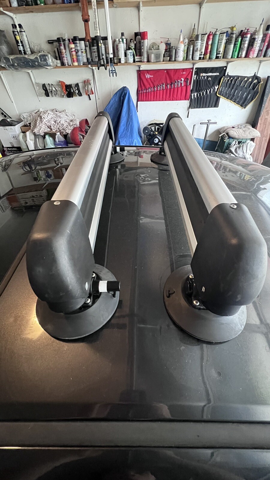 SeaSucker Ski And Snowboard Rack Suction Cup Mount eBay