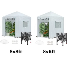 WORKPRO 8'x 8'/8'x6' Portable Walk-in Greenhouse Instant Pop-up Gardening Houses