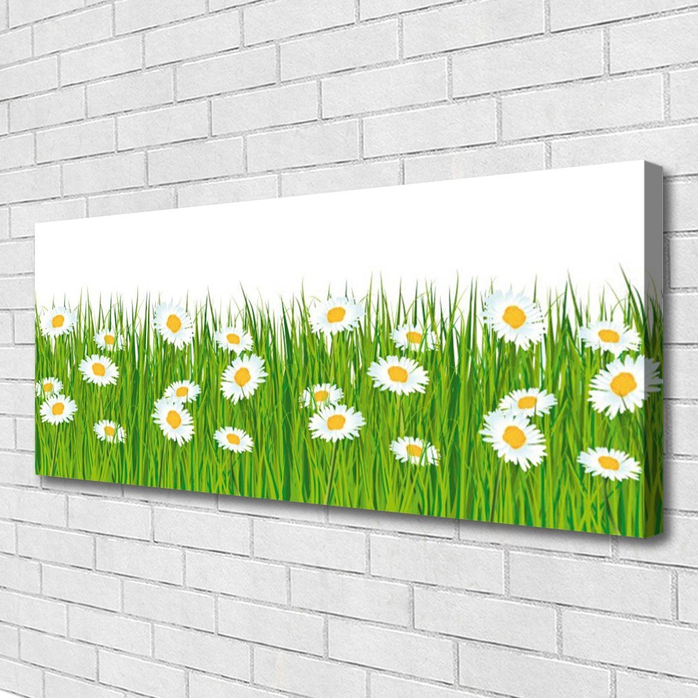 Tableaux nature sur toile premium marguerite blanche 125x50 cm