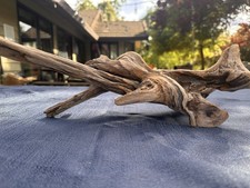 Large Natural Manzanita Driftwood 22" Aquarium Reptile Terrarium Home Decor